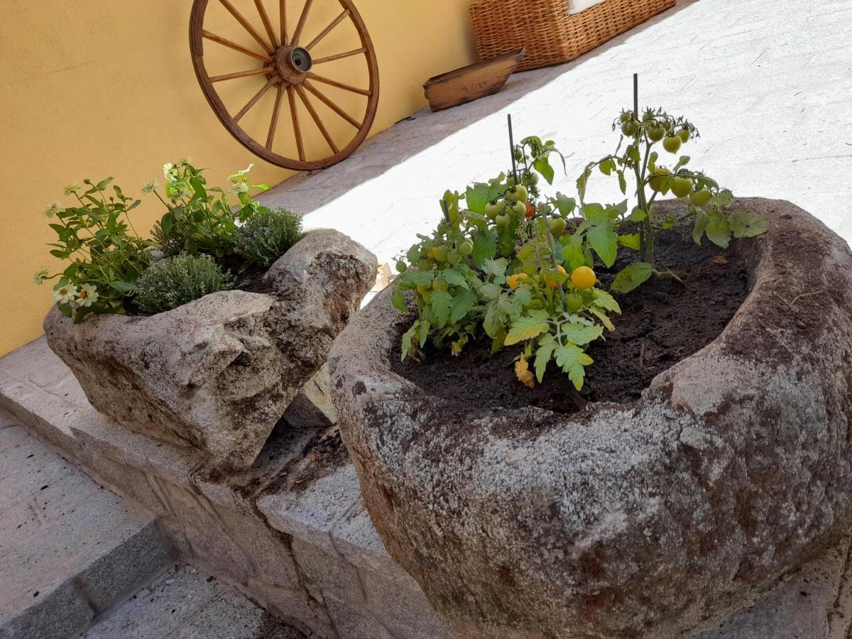 Casa Rural Del Tio Maino Becerril de la Sierra Luaran gambar